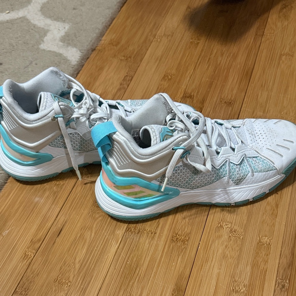 Dam’s Basketball Shoes. Worn for one season